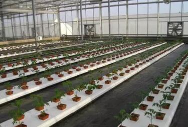 浙江新東陽建設集團有限公司