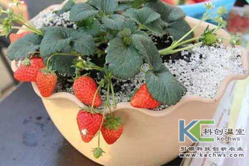 浙江新東陽建設集團有限公司